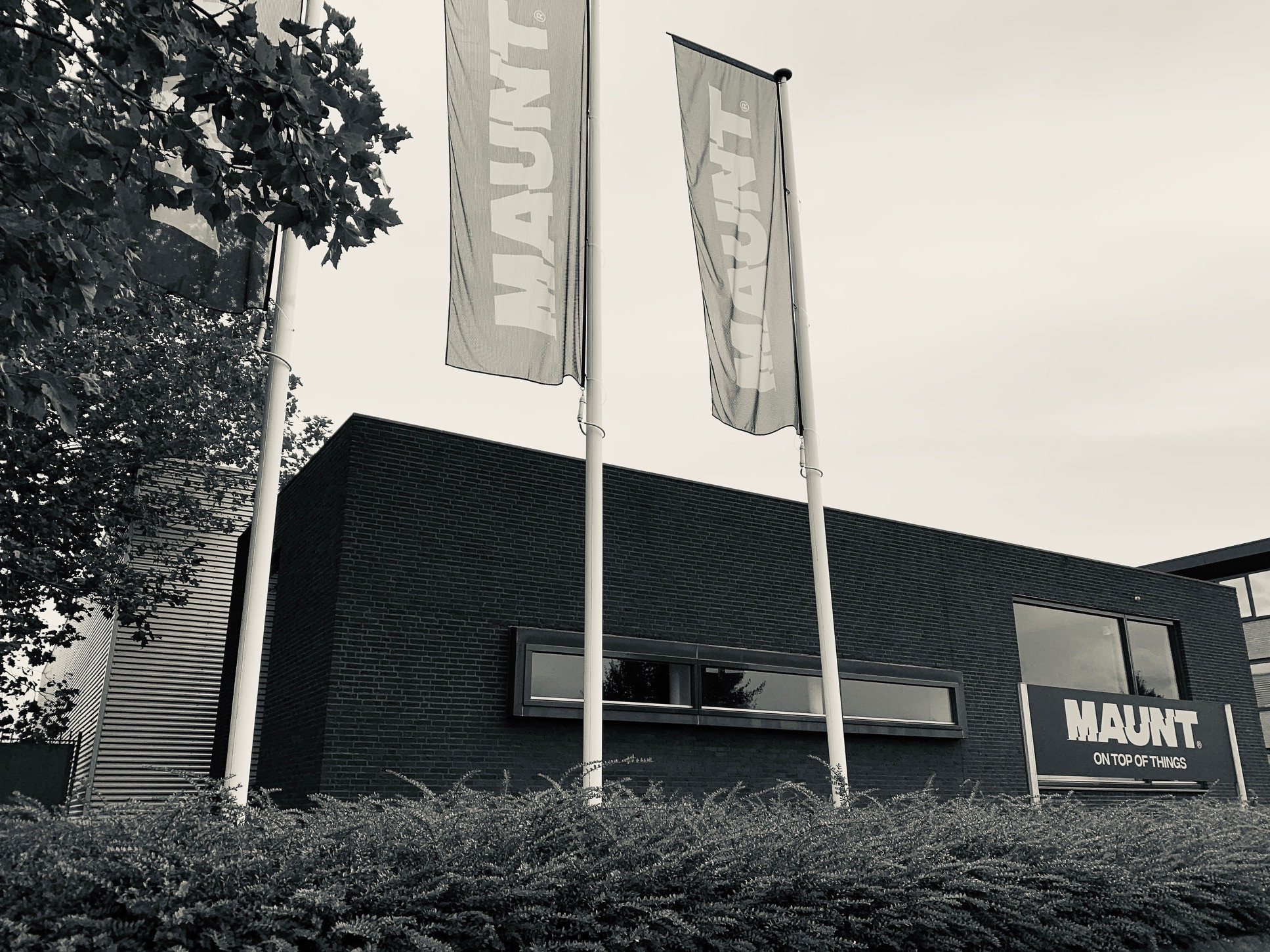 maunt-pand1.jpg